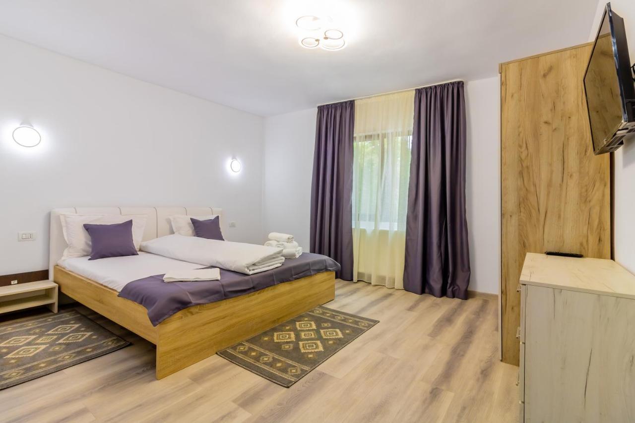 Hotel Pensiunea D & Ylan Novaci-Străini Zewnętrze zdjęcie