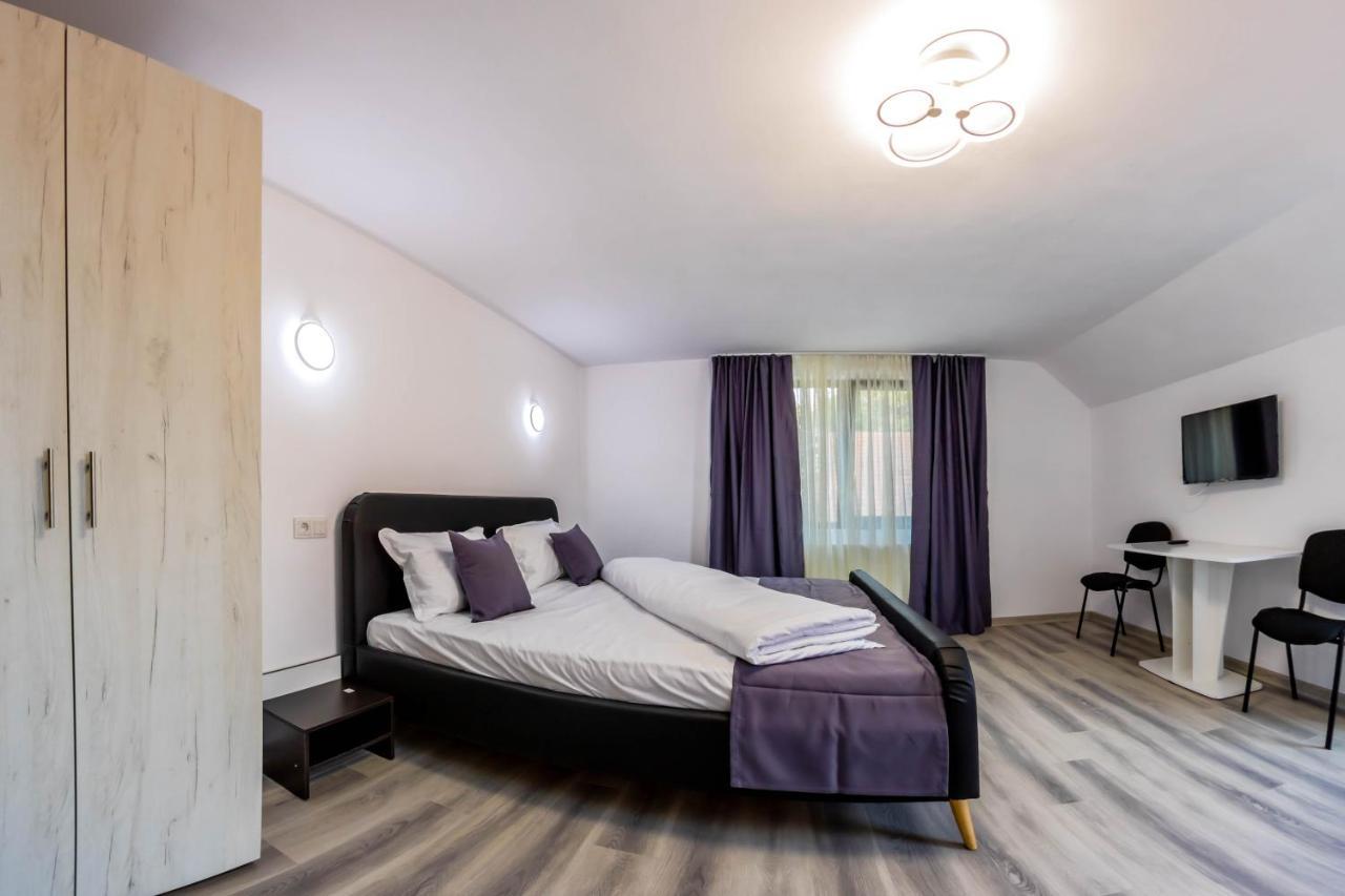 Hotel Pensiunea D & Ylan Novaci-Străini Zewnętrze zdjęcie